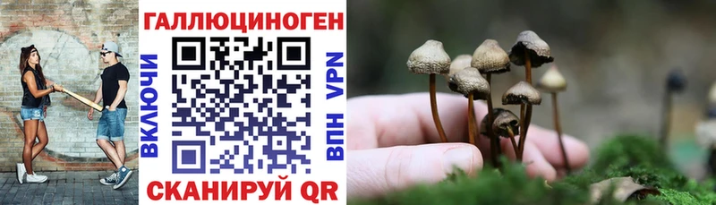 Галлюциногенные грибы Cubensis  закладка  Канаш 